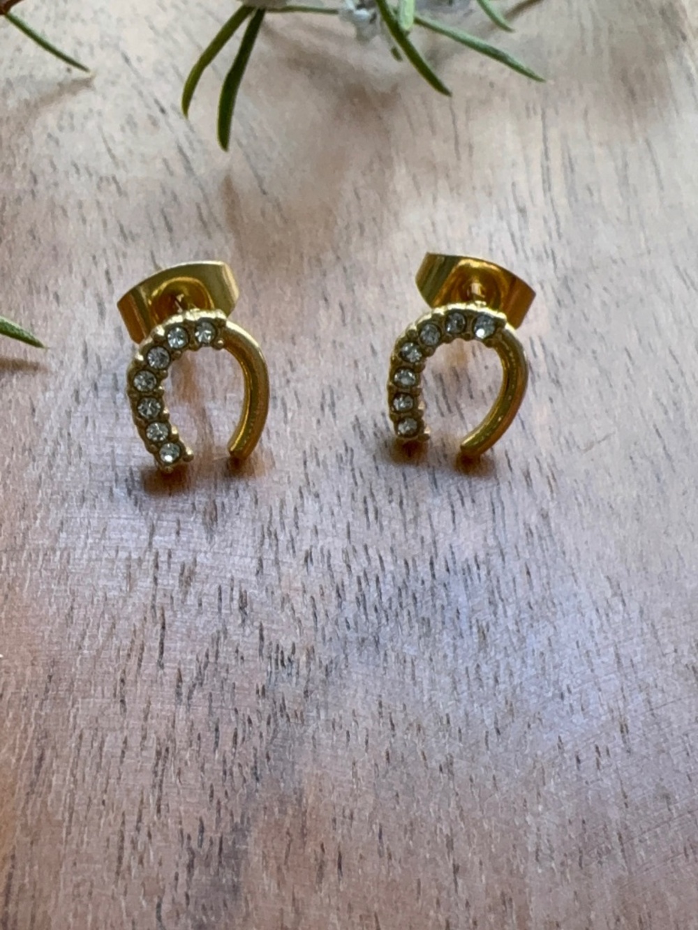 Earrings 18K Gold PVD Stainless Steel Horse Shoe Stone